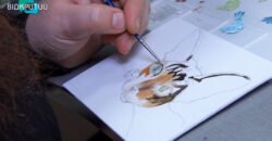 Малює котиків і допомагає ЗСУ: художниця з Дніпра продає свої картини і купляє одяг для військових