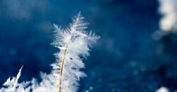 Морозно та без опадів: якою буде погода у Дніпрі 26 січня