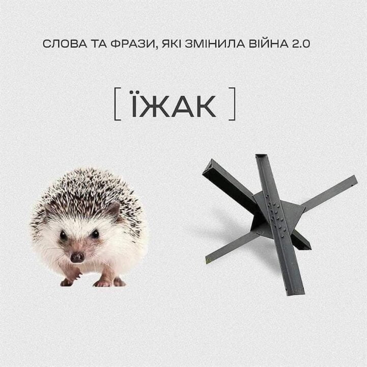 Слова та фрази, які змінили значення з початку війни РФ проти України
