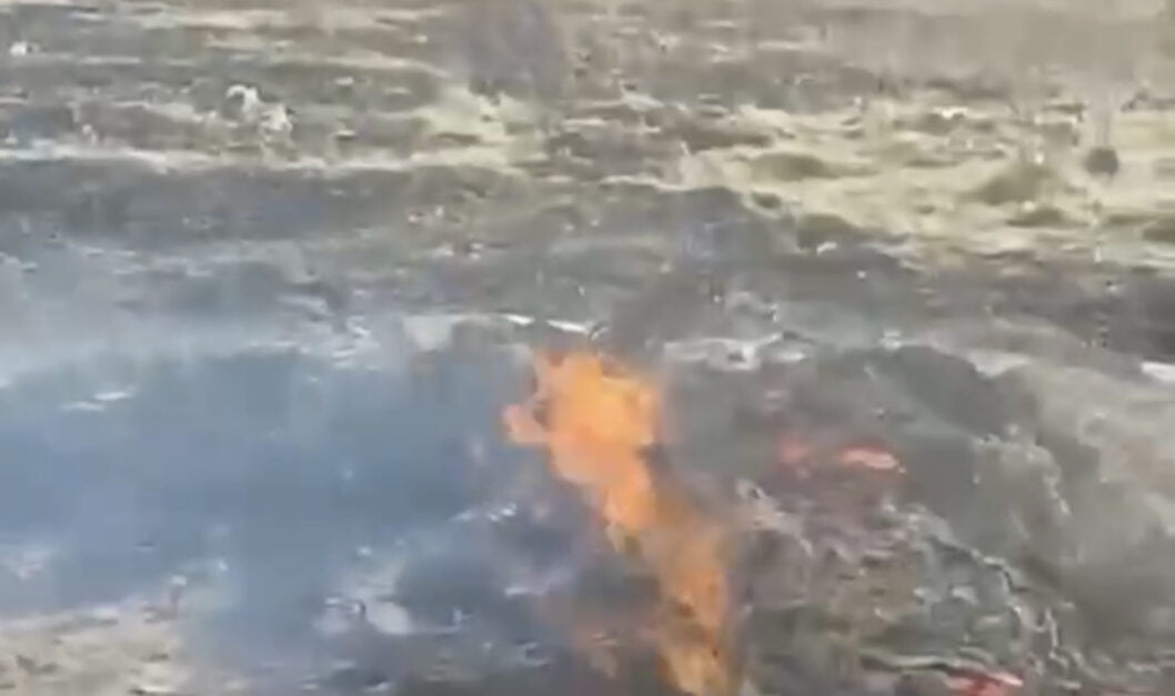 Загинула тварина: на Дніпропетровщині невідомі підпалили собачі будки