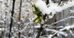 Тепло з мокрим снігом та дощем: якою буде погода у Дніпрі на вихідних - рис. 11