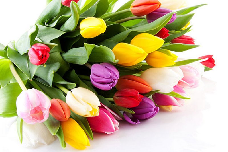 В Україні можуть скасувати 8 березня та 1 травня: проект ВР