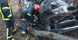 В Новомосковском районе Днепропетровщины произошло ДТП с двумя пострадавшими - рис. 8