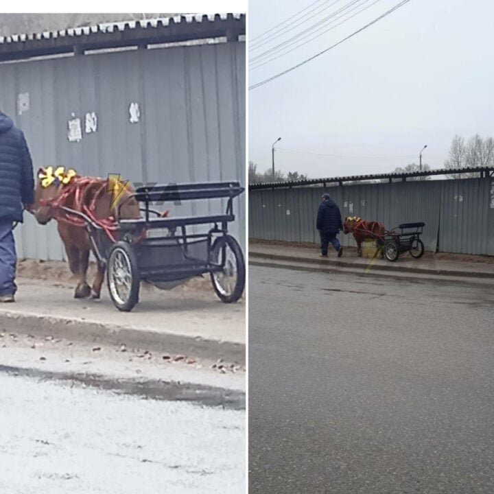 На вулиці Дніпра помічено незвичайне поні-таксі