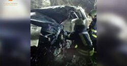 Легкова автівка злетіла у кювет: на Дніпропетровщині сталася смертельна аварія
