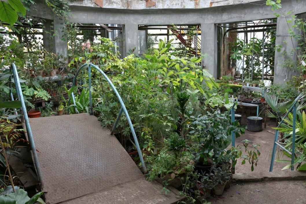 Дніпровський ботанічний сад відновлює свою роботу: графік