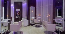 Депутатка сільради з Дніпропетровщини не маючи офіційних прибутків придбала землю і салон краси - рис. 9