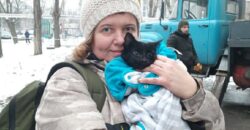 У Дніпрі врятували кішку, яка два тижні просиділа в зруйнованому будинку на Перемозі