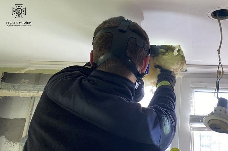 В одній з квартир Дніпра знайшли понад сотню кажанів