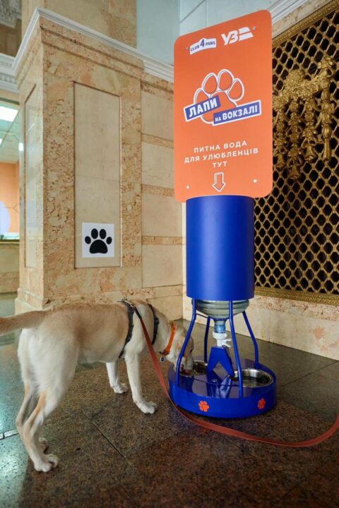 Pet-friendly: на дніпровському вокзалі з'явились поїлки для тварин - рис. 1