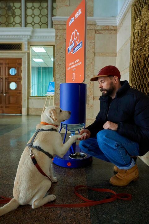 Pet-friendly: на днепровском вокзале появились поилки для животных - рис. 3