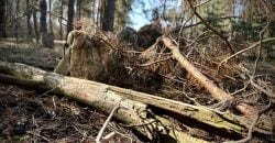 Тихі, маневрені та вкрай небезпечні: як працюють снайпери дніпровської бригади на фронті - рис. 11