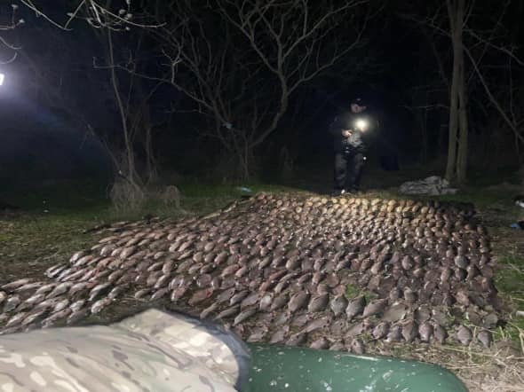 В Криворожском районе браконьер выловил более 200 кг рыбы