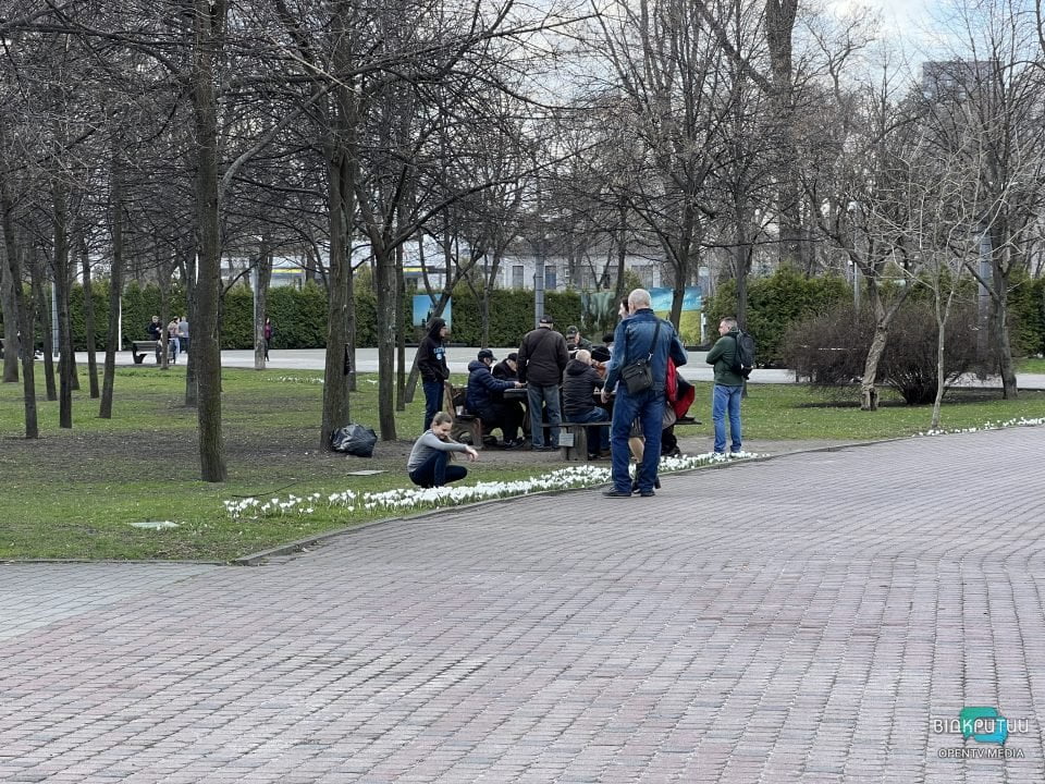 Новая фотозона: в Днепре в сквере Героев расцвели крокусы (Фото) - рис. 7