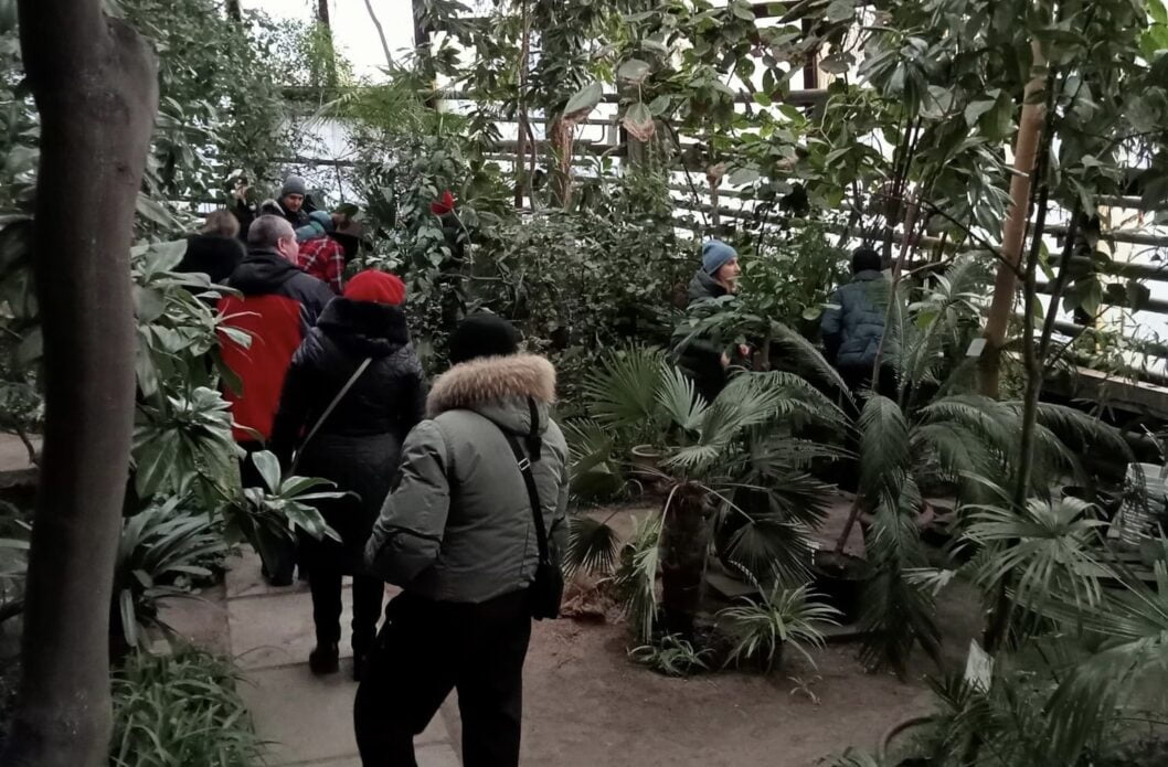 Цими вихідними ботанічний сад Дніпра відкриє двері для відвідувачів