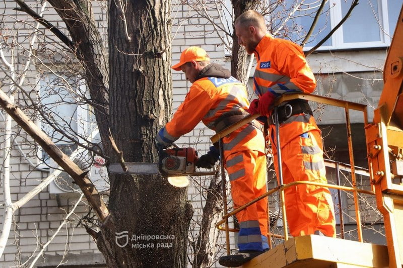 В Днепре по обращению жителей омолодили и удалили деревья на проспекте Героев - рис. 1