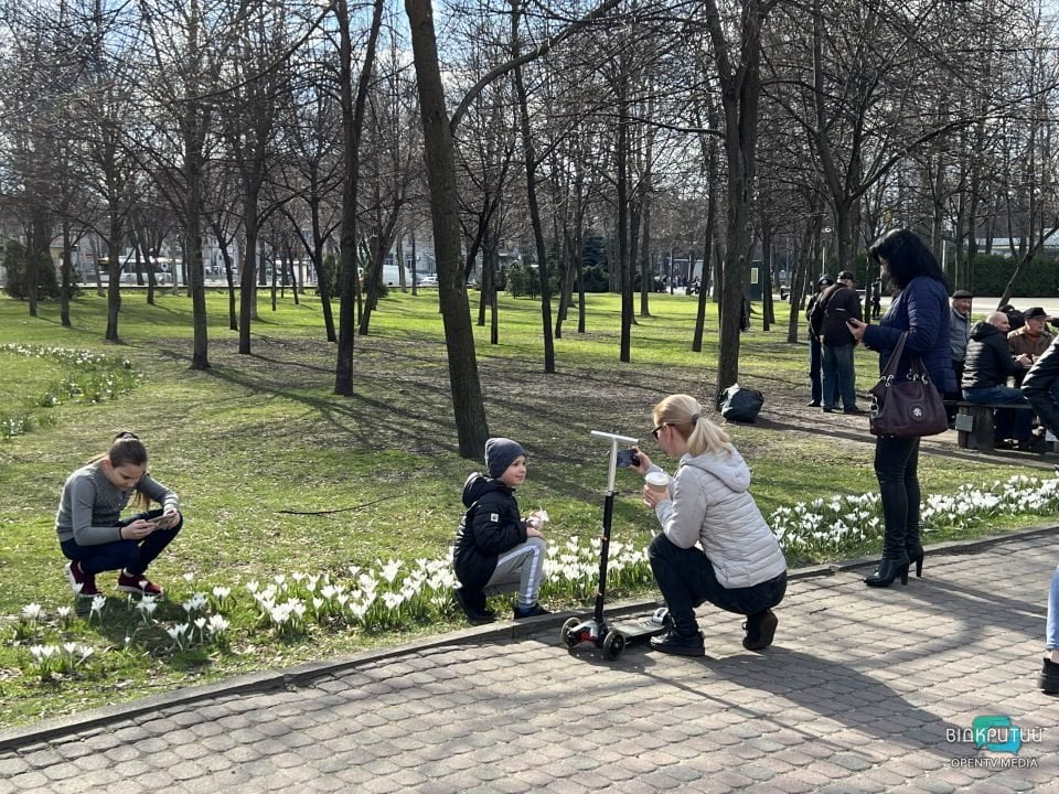 Новая фотозона: в Днепре в сквере Героев расцвели крокусы (Фото) - рис. 6