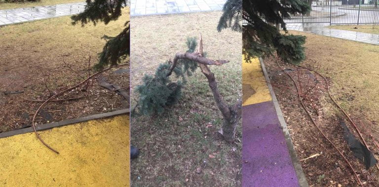 Поломанные деревья и тренажеры: вандалы в Днепре разгромили сквер на левом берегу