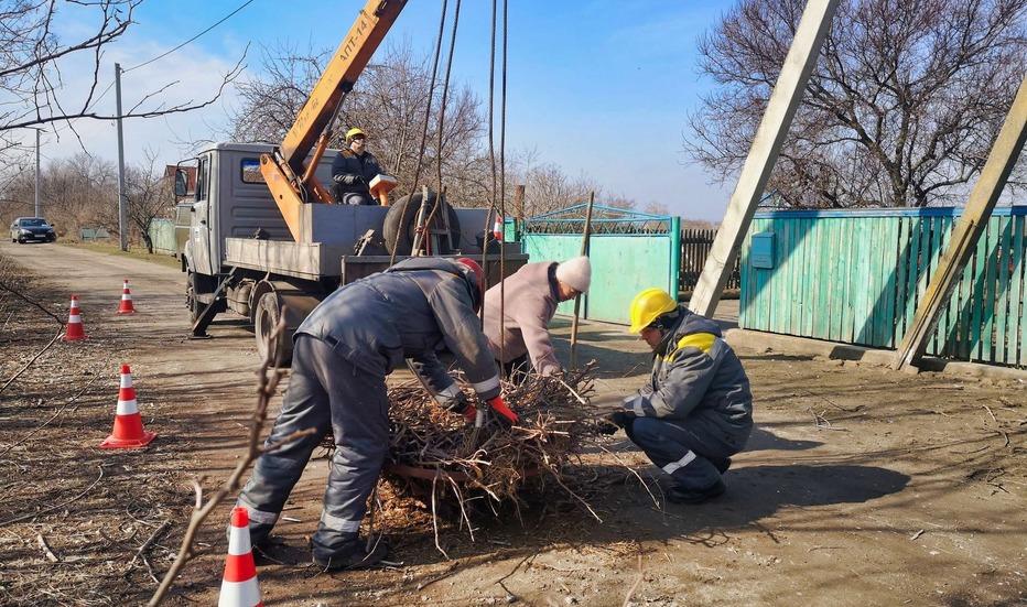 У Дніпропетровську область через теплу зиму повертаються лелеки