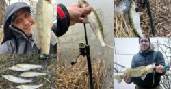 Сезон начался раньше: рыбаки Днепропетровщины похвастались удачным уловом судака - рис. 10