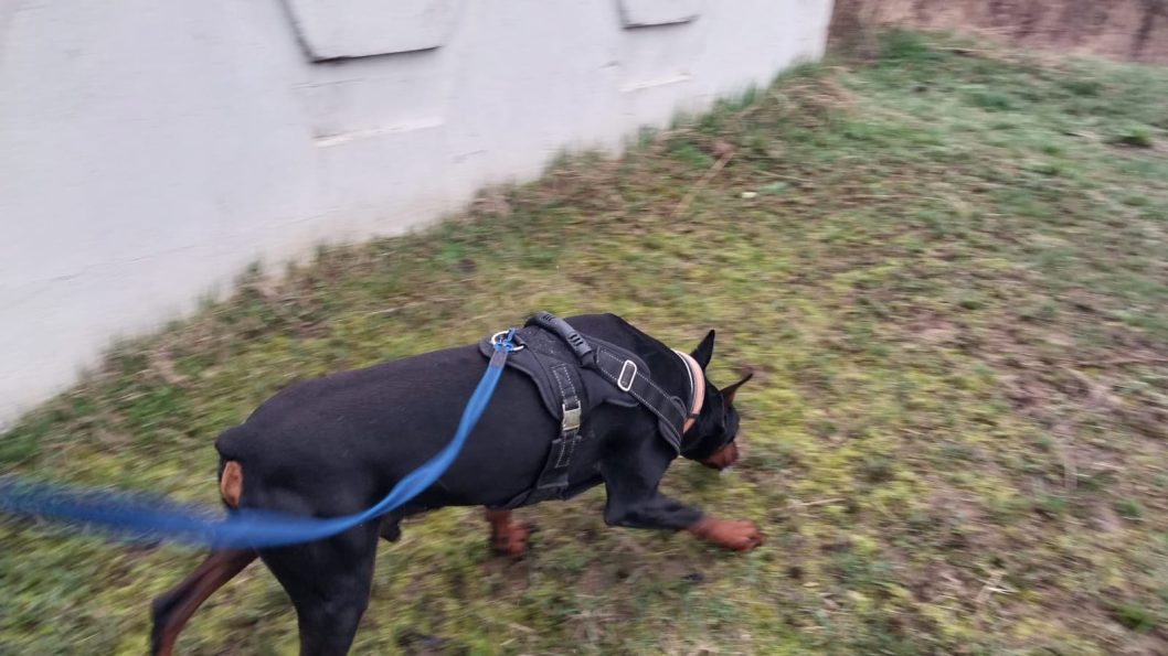 В Днепре бытовая ссора чуть не закончилась убийством - рис. 1