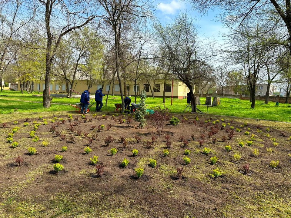 Будущая фотозона: в парках Днепра высадили лаванду, барбарис и голубые елки - рис. 1