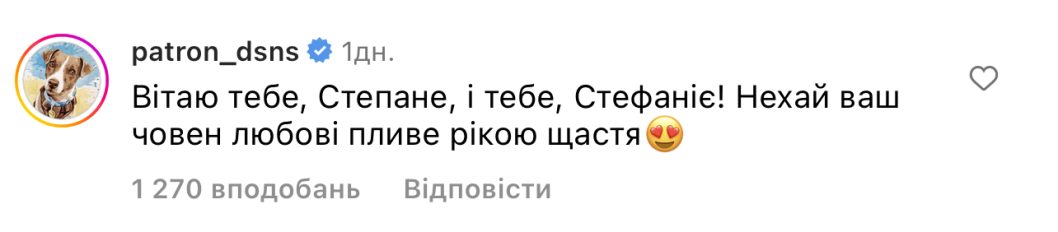 Кіт Степан з Харківщини зробив пропозицію лапки та серця своїй коханій - рис. 4