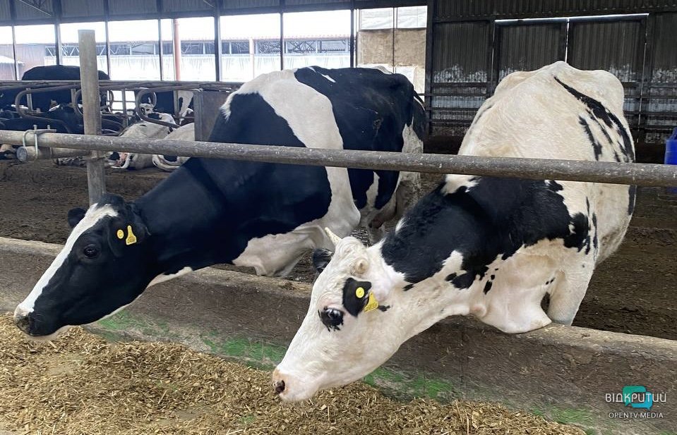 До Дніпропетровської області евакуювалося підприємство з Бахмута - рис. 2