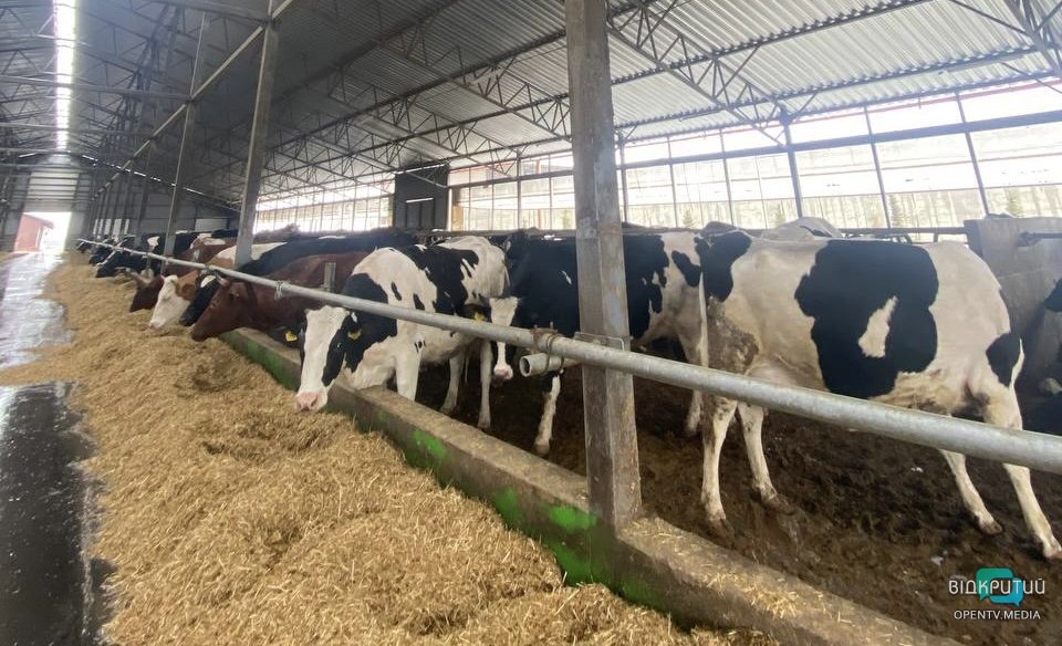 До Дніпропетровської області евакуювалося підприємство з Бахмута - рис. 1