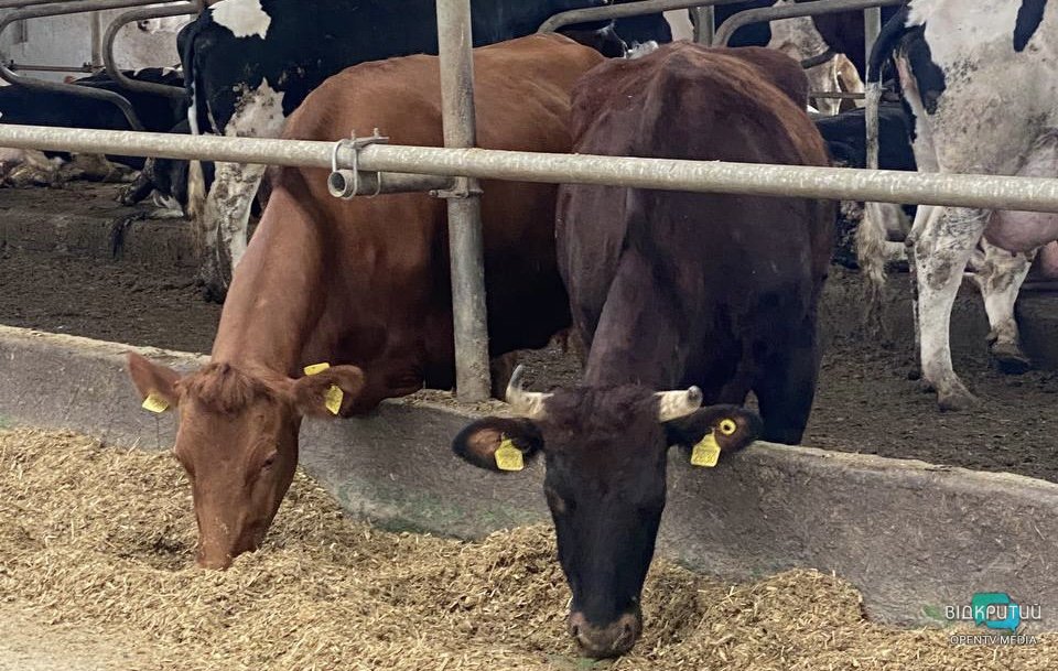 До Дніпропетровської області евакуювалося підприємство з Бахмута - рис. 3