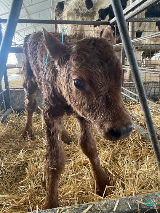 До Дніпропетровської області евакуювалося підприємство з Бахмута - рис. 4
