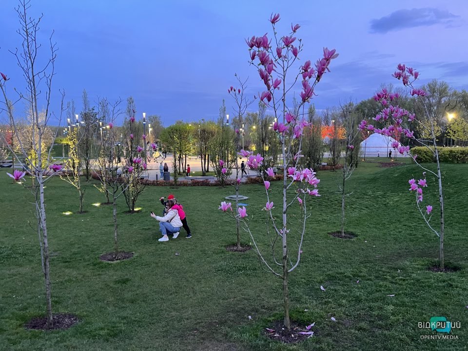 Хай буде весна: у Дніпрі на Набережній Перемоги розцвіли тюльпани та магнолії (Фото) - рис. 7