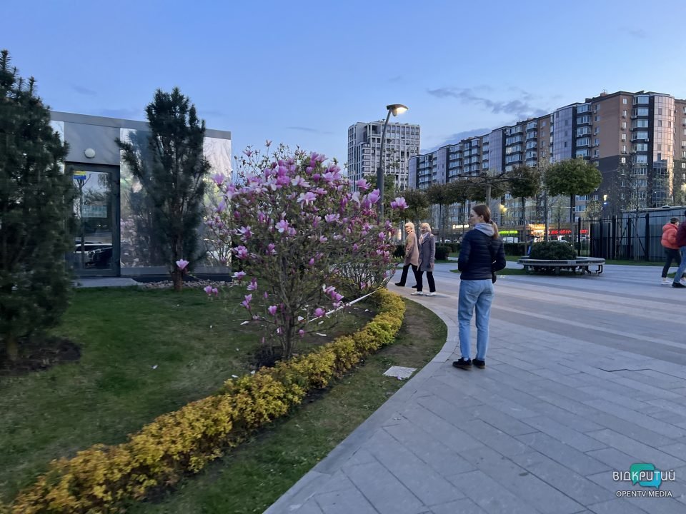 Хай буде весна: у Дніпрі на Набережній Перемоги розцвіли тюльпани та магнолії (Фото) - рис. 10
