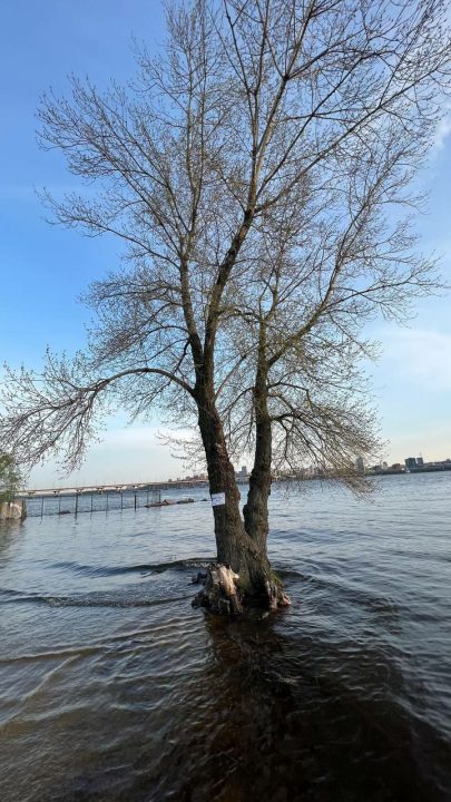 В Днепре река затопила один из городских пляжей (Фото)