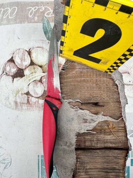 В Апостолово за убийство знакомого задержали ранее судимого местного жителя