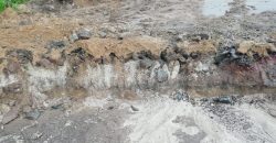 Римська дорога: у Кривому Розі під шаром асфальту виявили знахідку