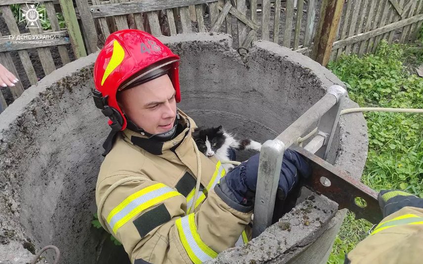 Міг втопитися: на Дніпропетровщині врятували котика