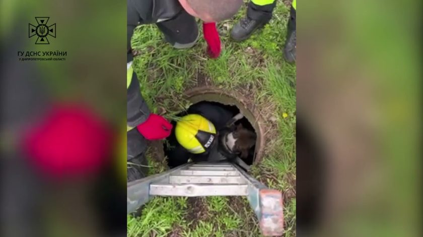У Дніпрі надзвичайники врятували життя песику