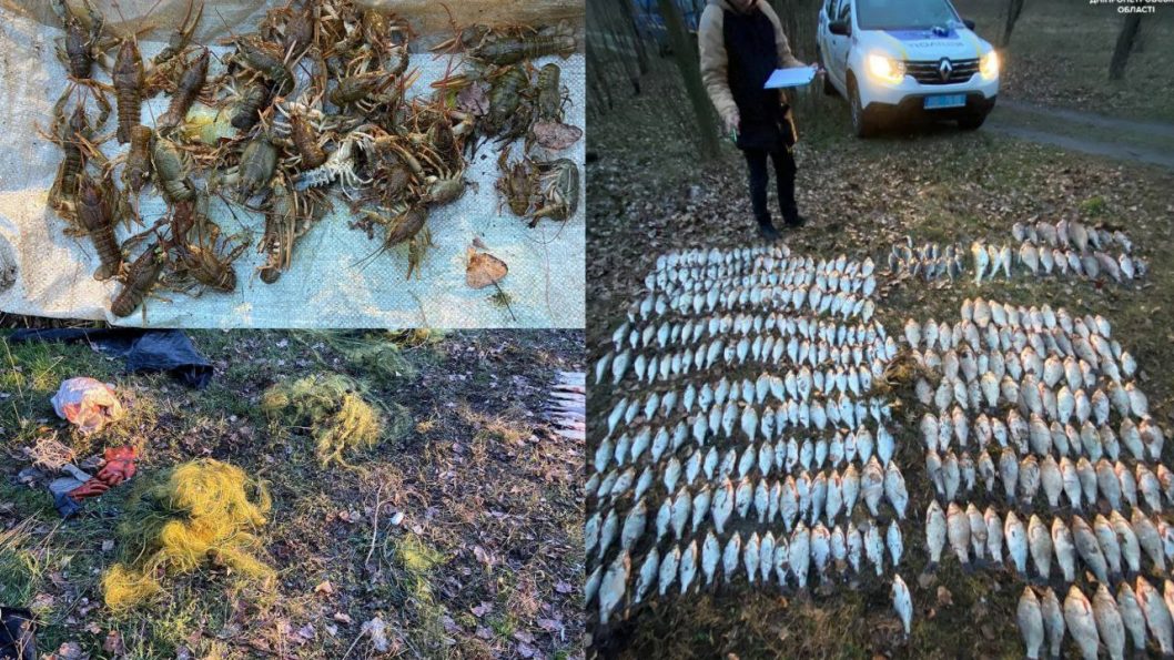 Виловив риби на 700 тисяч гривень: на Дніпропетровщині викрили браконьєра