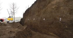 Розкопки Белюхової могили на Дніпропетровщині: є перша цікава знахідка - рис. 9