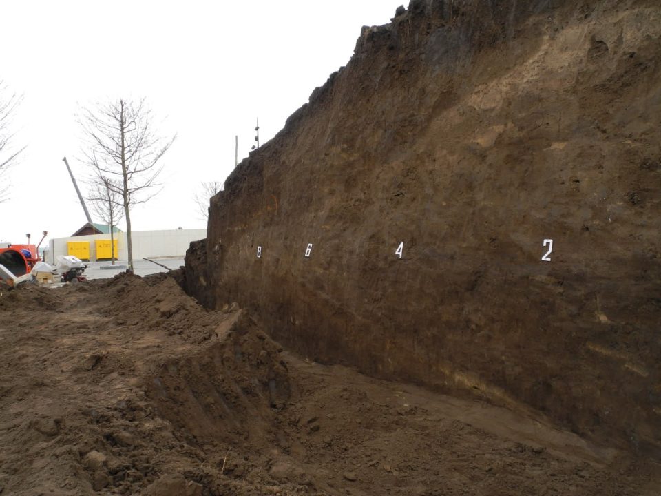 Розкопки Белюхової могили на Дніпропетровщині: є перша цікава знахідка - рис. 12