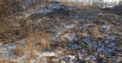 Раскопки Белюховой могилы на Днепропетровщине: есть первая интересная находка - рис. 5