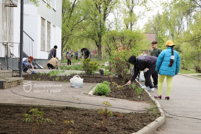 Алея із гібіскусу та прибирання території: як озеленюють та прибирають Дніпро