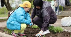 Алея із гібіскусу та прибирання території: як озеленюють та прибирають Дніпро