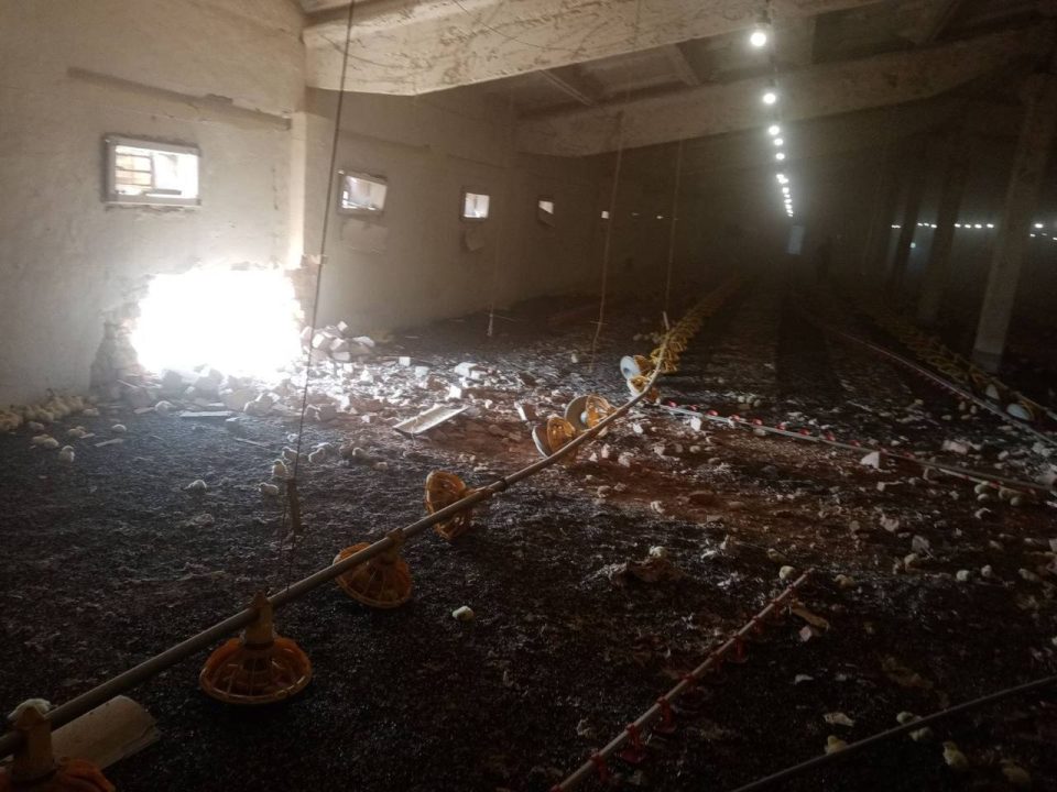 Оккупанты обстреляли громады Никопольщины: повреждена ферму, погибли 700 голов домашней птицы - рис. 1
