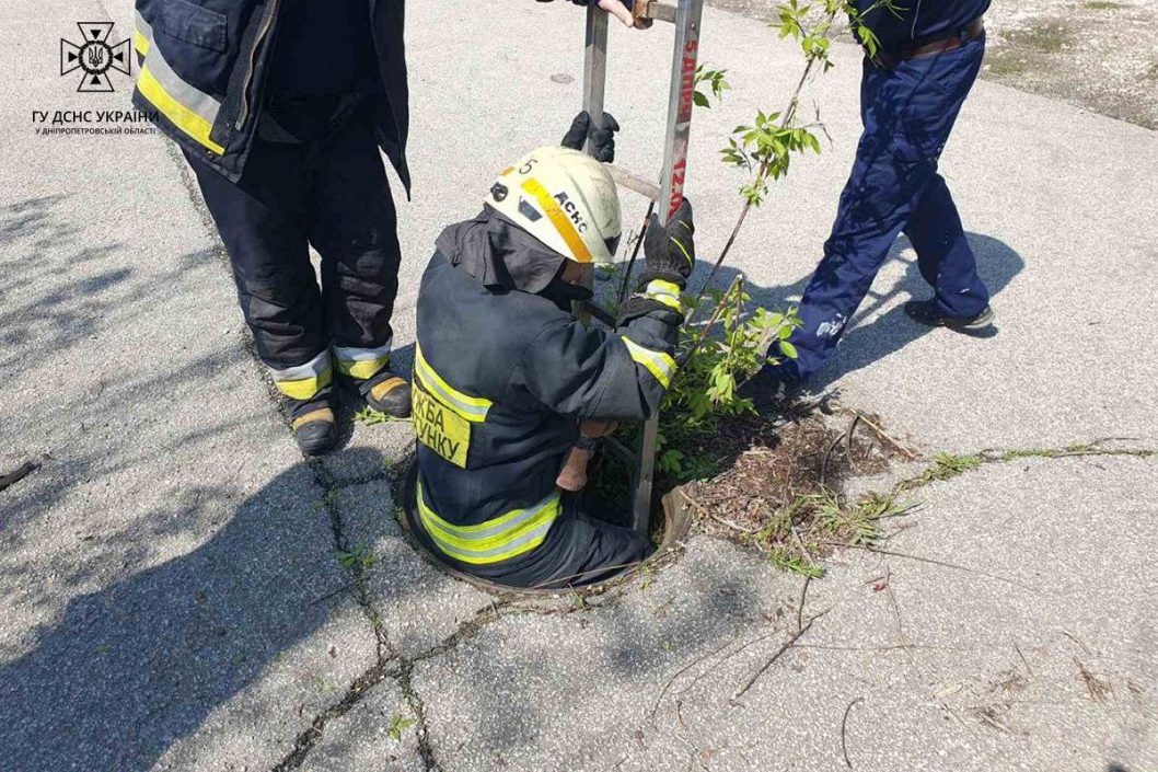 У Дніпрі врятували цуцика, що впав в колодязь - рис. 2