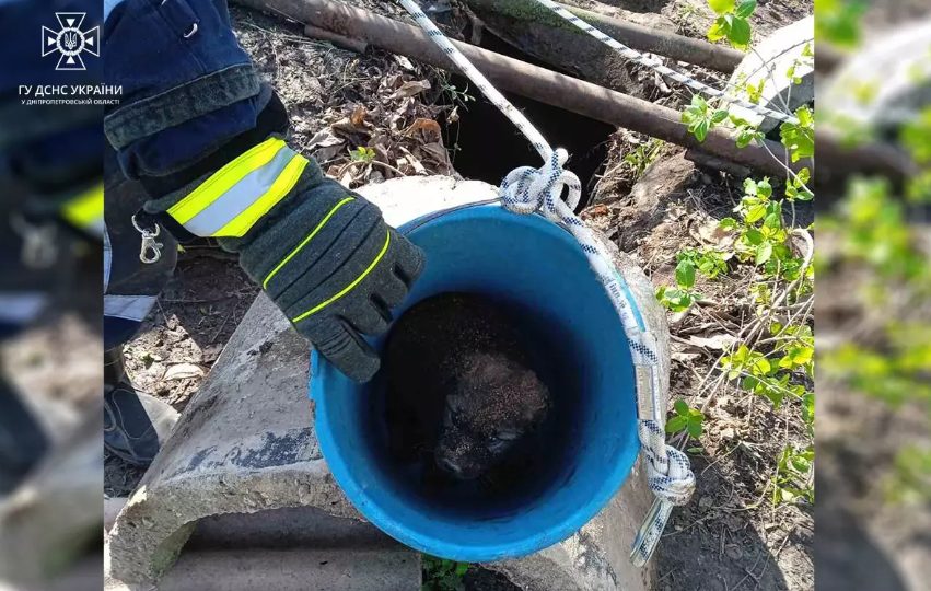 На Днепропетровщине чрезвычайники спасли жизнь щеночку - рис. 1