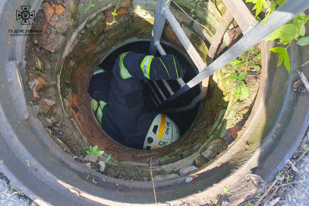 У Дніпрі врятували цуцика, що впав в колодязь - рис. 4