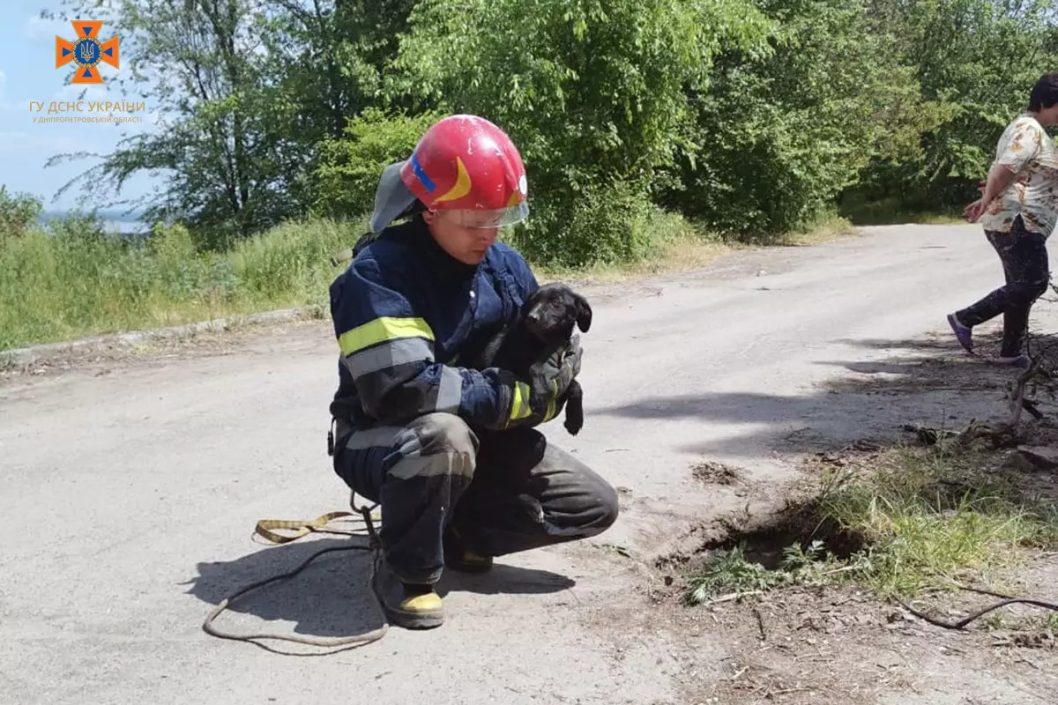 На Дніпропетровщині рятувальники визволили цуценя, яке впало у глибокий люк - рис. 1