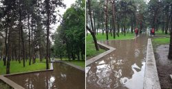 Затопило доріжки: у Дніпрі в парку Писаржевського відкрилася «філія гребного каналу»